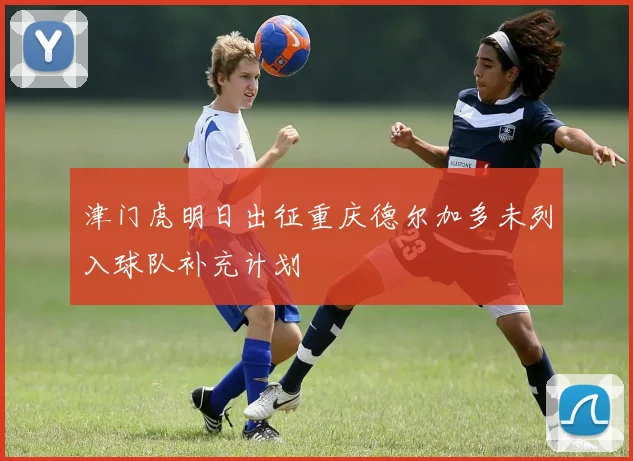 津门虎明日出征重庆德尔加多未列入球队补充计划