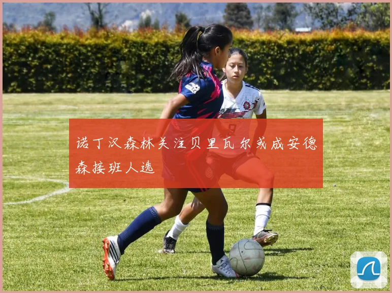 诺丁汉森林关注贝里瓦尔或成安德森接班人选